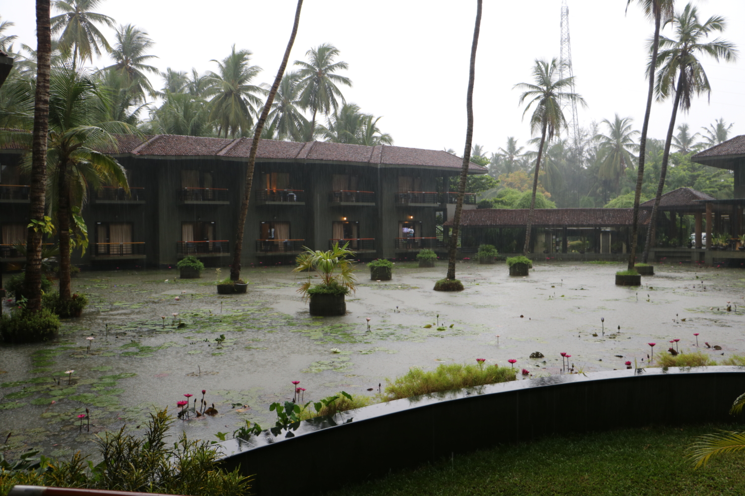 Sterling dindi resorts | Nikki's talk