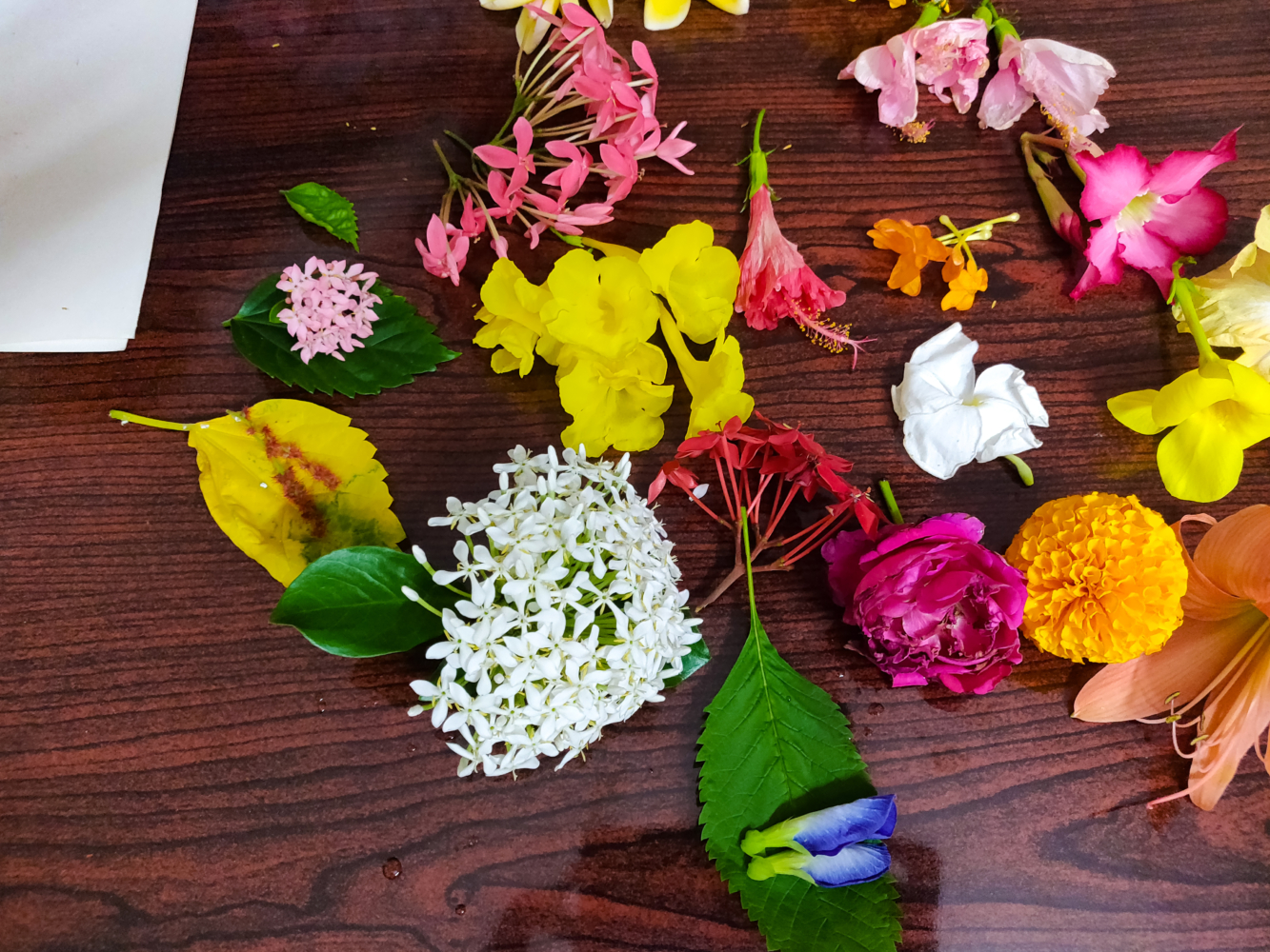 Making A Natural Color Palette From Flowers Nikkis Talk