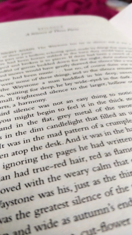 the name of the wind by Patrick rothfuss