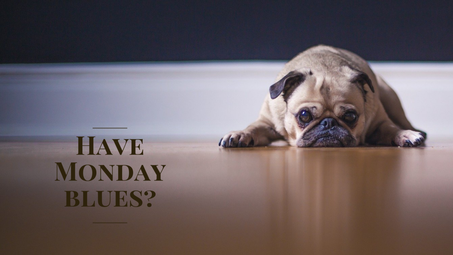 monday blues