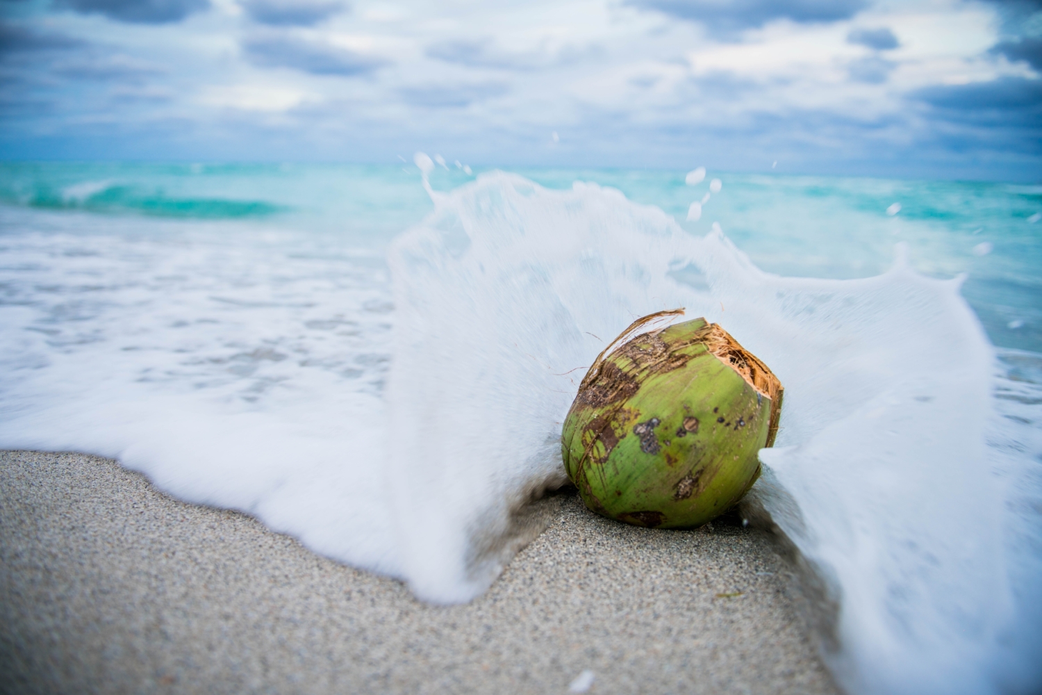 coconut water