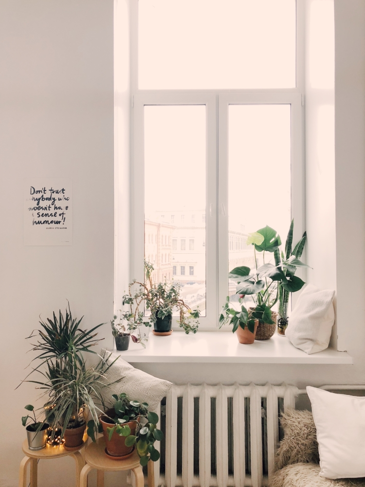 cosy reading corners